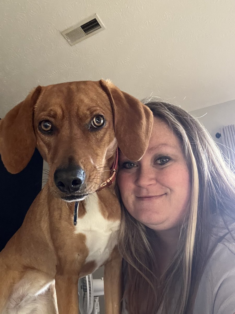 dreama2185's tweet photo. Just made an album on my phone for my dog. 517 pictures/videos means I have taken more than 1 per day since we’ve had her #puppylove https://t.co/a19V71P0br