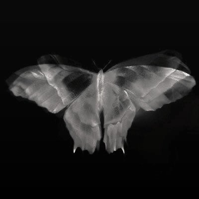 ASTR0EFF3CT's tweet image. ᅟᅟᅟ
ᅟᅟᅟ
ᅟᅟᅟ ⠀⠀
ᅟᅟᅟ
             *  𝐊𝐄𝐀𝐓𝐎𝐍 𝐇𝐀𝐖𝐓𝐇𝐎𝐑𝐍𝐄.
           
                𝑒𝑛𝑑𝑜𝑟𝑠𝑒         𝑦𝑜𝑢𝑟         𝑠𝑖𝑛𝑠            
⠀ ⠀    
ᅟᅟᅟ
ᅟᅟᅟ ⠀⠀
ᅟᅟᅟ
ᅟᅟᅟ ⠀⠀