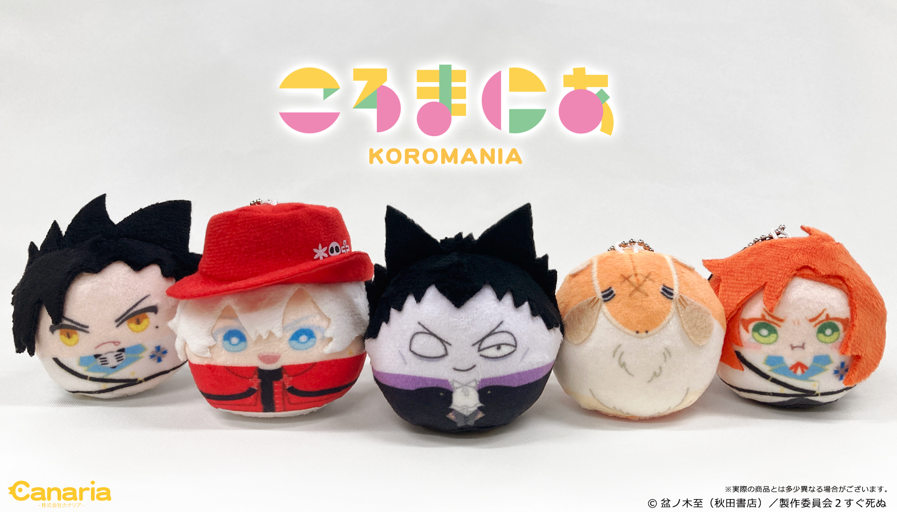 【ぬぬぬさん専用】【鬼コレクション株】【両A面】ケラリア ピグマエア ぬぬぬさん専用】【鬼コレクション株】【両A面】ケラリア ピグマエア