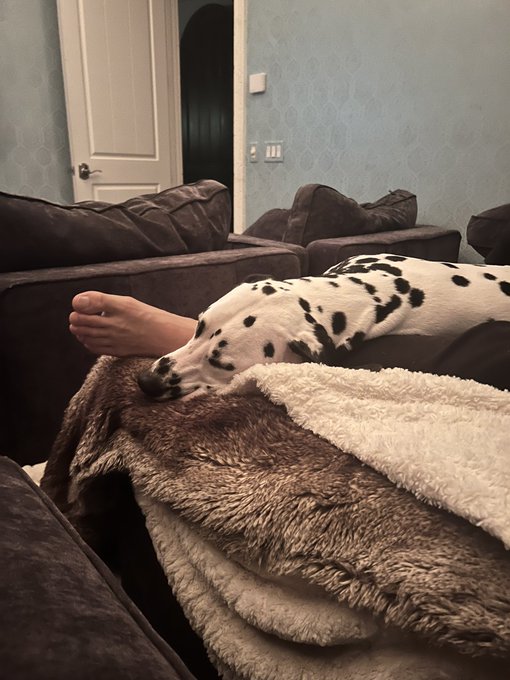 2 pic. Now I’m jealous @JohannesBartl good night ? https://t.co/hjxHrv9KiM