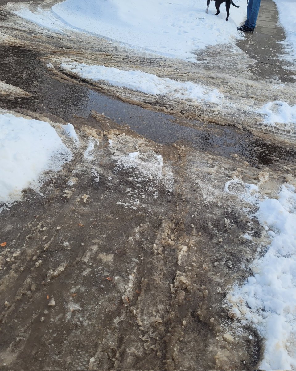 Anything's PawsAble tweet media