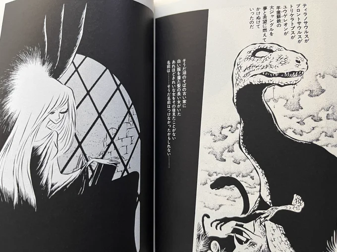 道の場所へと踏み込む憧れと畏れ、人間の美しさと愚かさ、原稿から感じる独特の湿度と乾きと温度が好きです
ベタはここまで大胆に入れた方がかっこいいとも(先生の漫画を読むことで)知ることができました

ありがとうございました

(画像は極たまに描かれてた松本先生の恐竜です。かわいい) https://t.co/kkCof5EKzE 