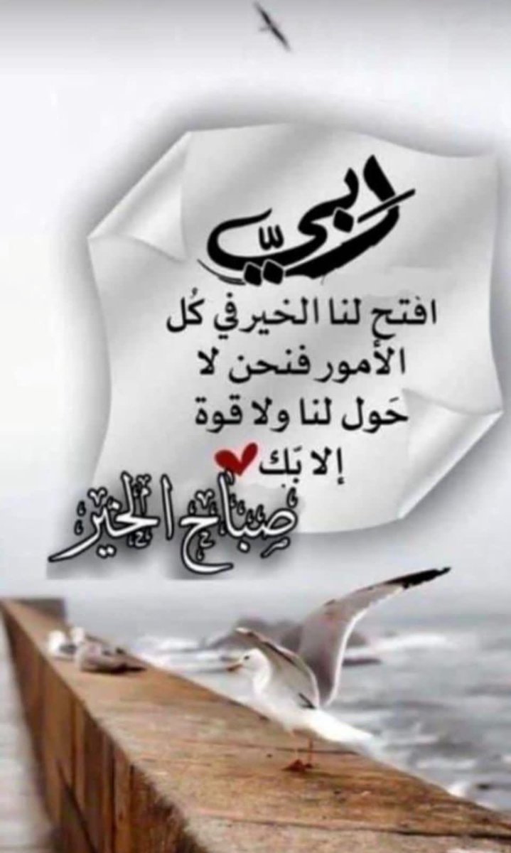 طالبة الغفران (@talebatalgofran) on Twitter photo 