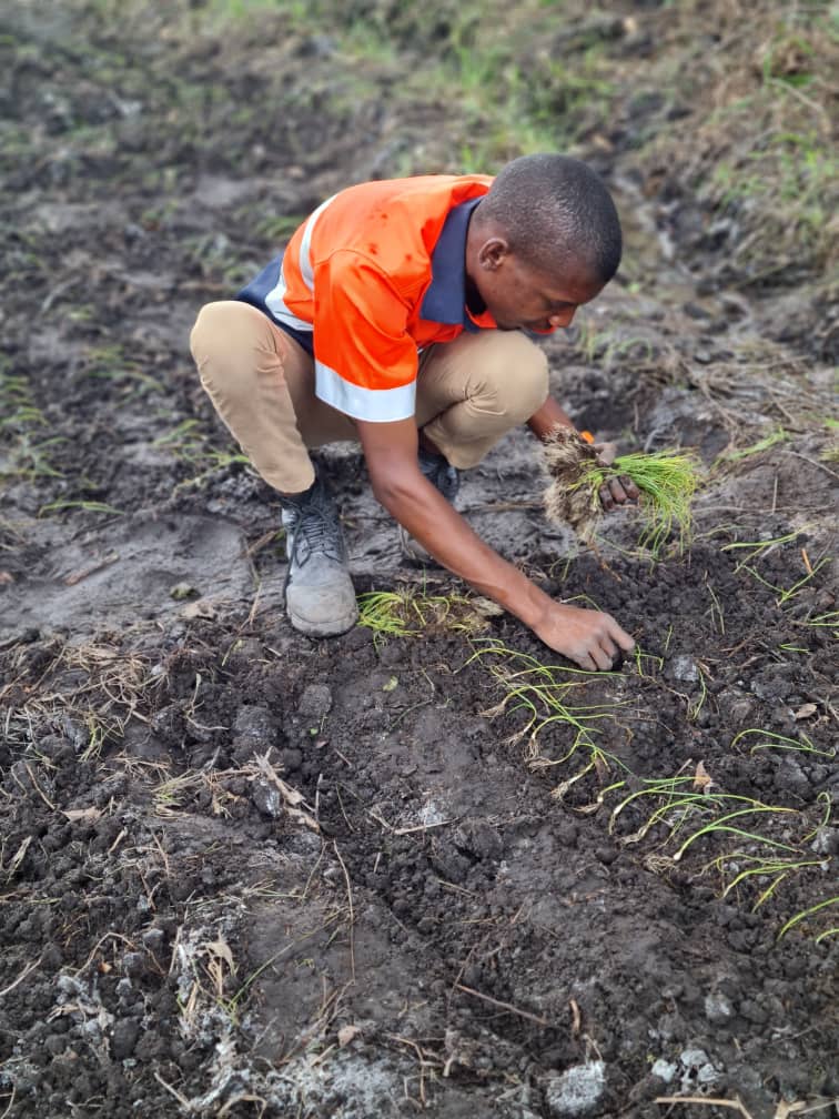 *"I want every farmer to remember my face so that when I meet you in bank after your harvest, you will be able to recognise me and say thank you once again Mdhumeni Jackie."*

wa.me/qr/HFW7TEZYQPW…

countryhorizone.com