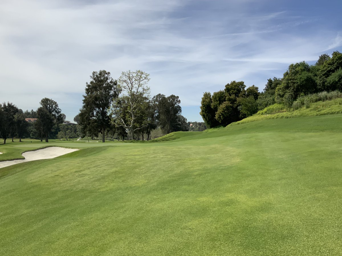 tommynacc's tweet photo. @bschneider126 Matt Morton installed this very firm, close cropped Kikuyu on #10 that was obtained from West Coast Turf.  I ran some balls and it was plenty firm.  I urged him to give it a go on #4, but Matt moved on to Laguna Niguel shortly after that, but it was discussed.  Compare 10 &amp; 4 https://t.co/UV6757mpQE