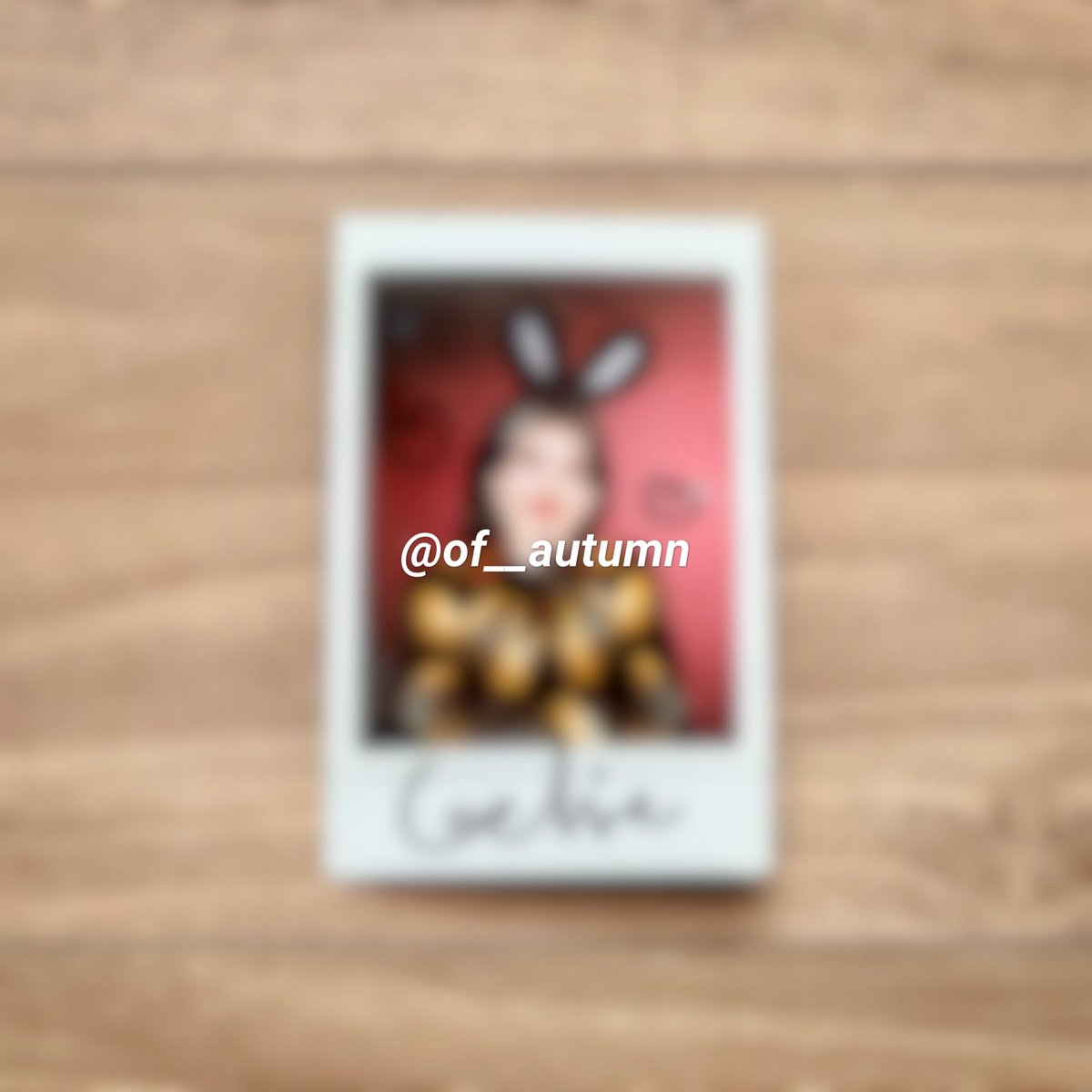 of__autumn's tweet photo. 아이브 멘파 가을이 싸인폴라 도착🐰💘
진짜 너무 귀여워...🥹
#IVE #가을 https://t.co/qQIv7o5J0W