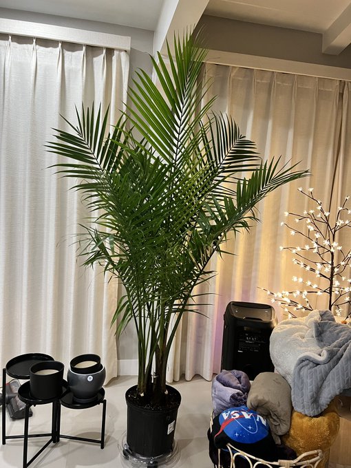 3 pic. I feel I have had so much loss in the past 6 months so today I went and got plants to fill my