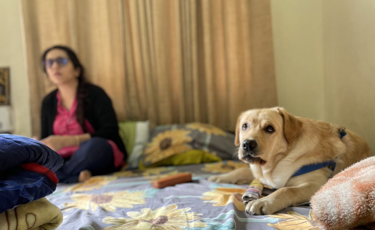 samonwheel's tweet image. All eyes on market opening 😊

#sensex #Nifty #midcapstocks