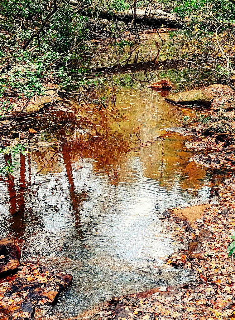 MistyNelson67's tweet image. #ShadowsReflects by @DavidMariposa1