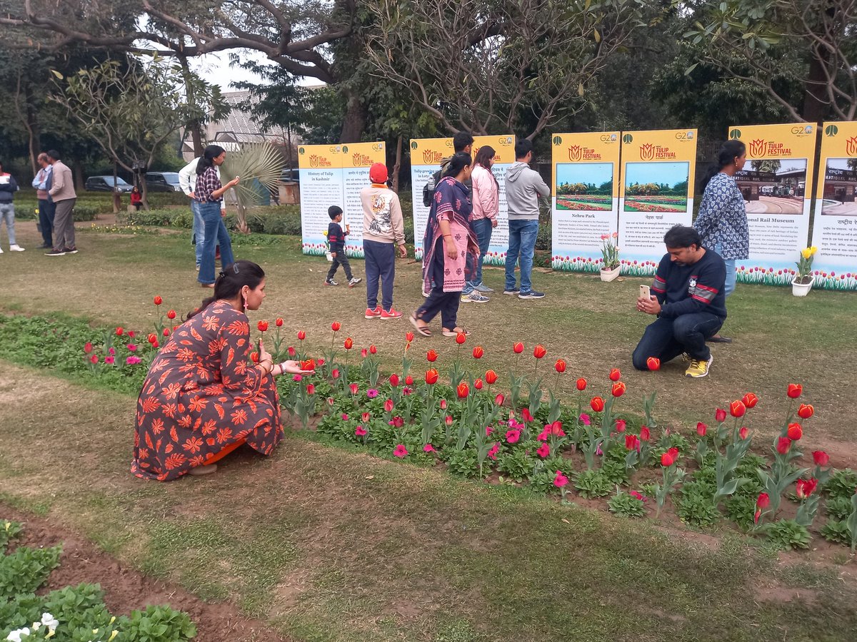 शांतिपथ पर दिल्लीवासियों का ट्यूलिप प्रेम। #NDMCTulipFestival