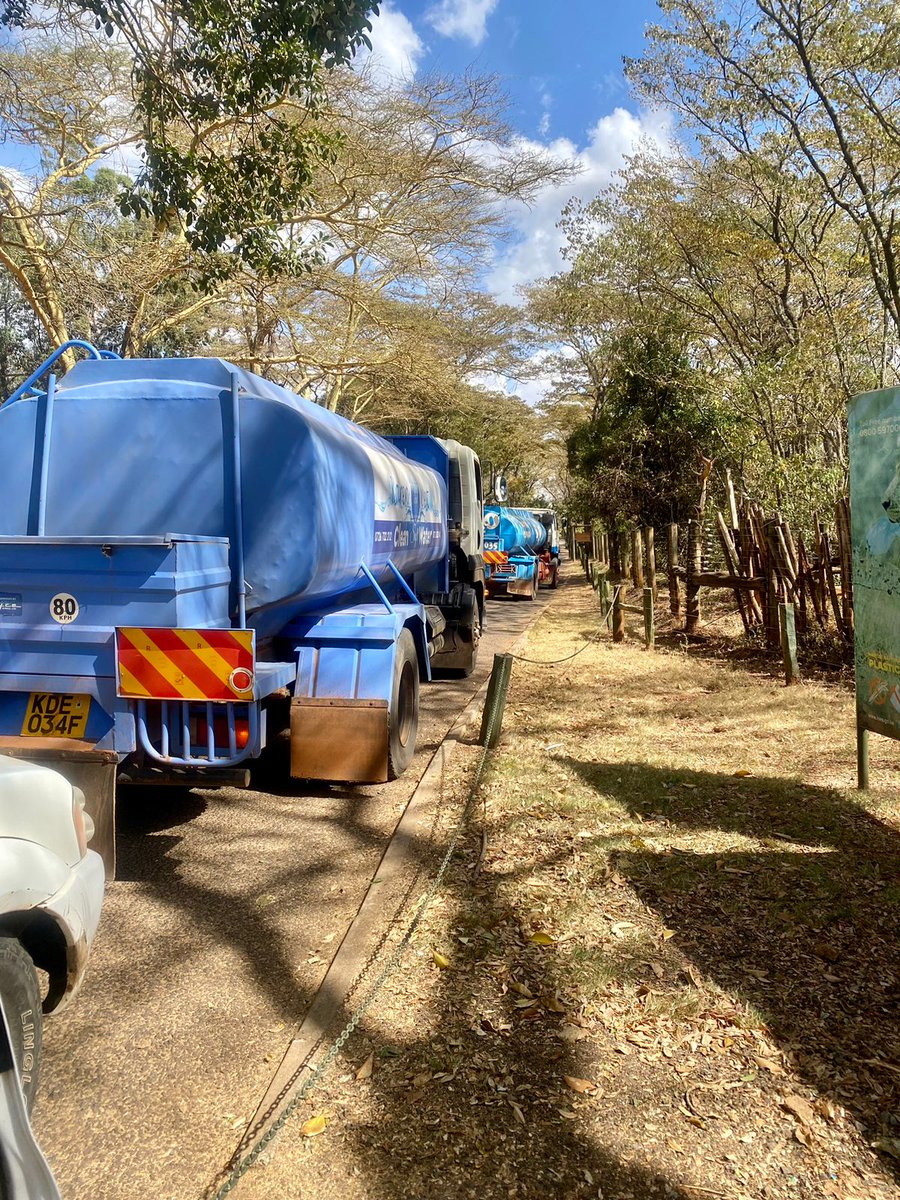 MatundaPhoebe's tweet photo. 2/3 Nairobi National park is one of the affected parks, with water levels in dams within the park drastically going down and others completely dry &amp; there have been #WaterTrucking activities to salvage the situation &amp; provide water for wildlife #ClimateActionNow https://t.co/jDJBuRIgsT