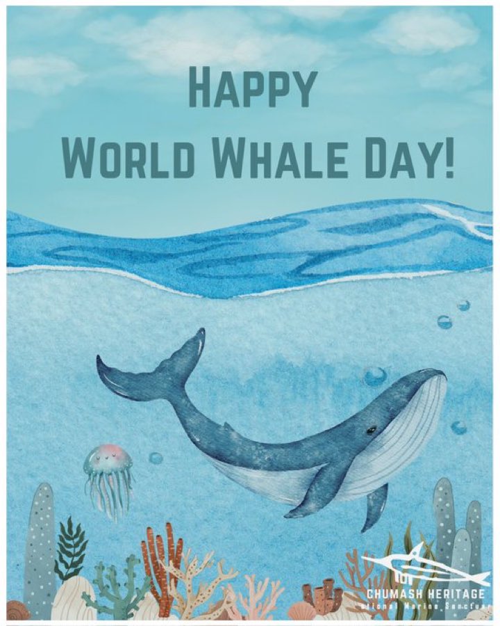 SURF EQUITY tweet media