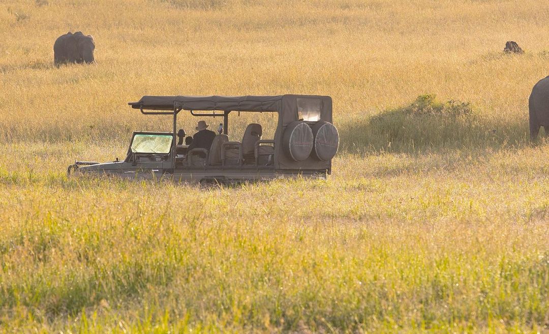 VisitTanzania1's tweet image. Good Morning Serengeti National Park 🇹🇿