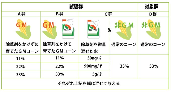 GMO（遺伝子組み換え作物）の危険性 GM作物の危険性を示す実験で、GMコーンを食べさせつづけたネズミに、いずれも頭と同じくらいの大きさの腫瘍。この実験では、除草剤を使わずに育てたGM作物を食べるだけでも、体に異常が現れることが明らかに。1/6⬇️