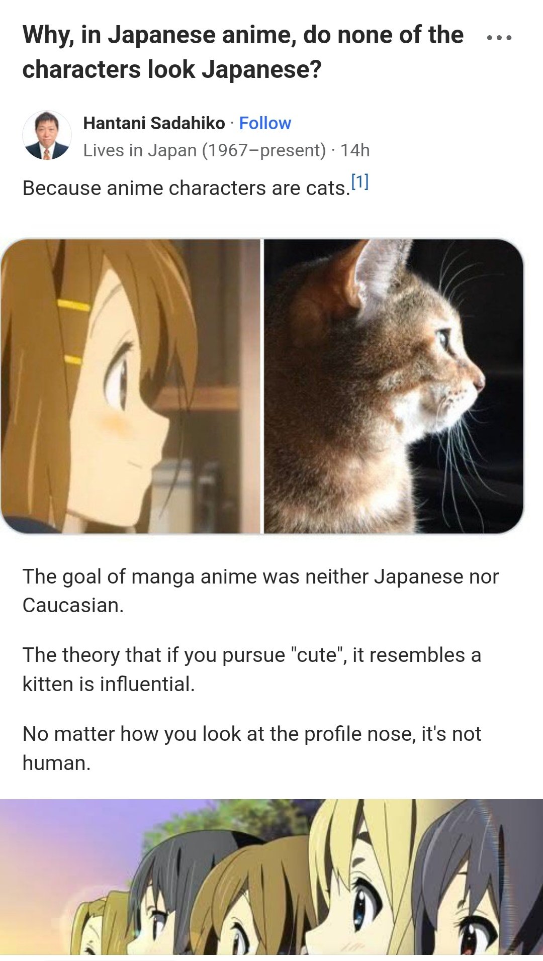 kitten  Kitten, Anime memes, Anime