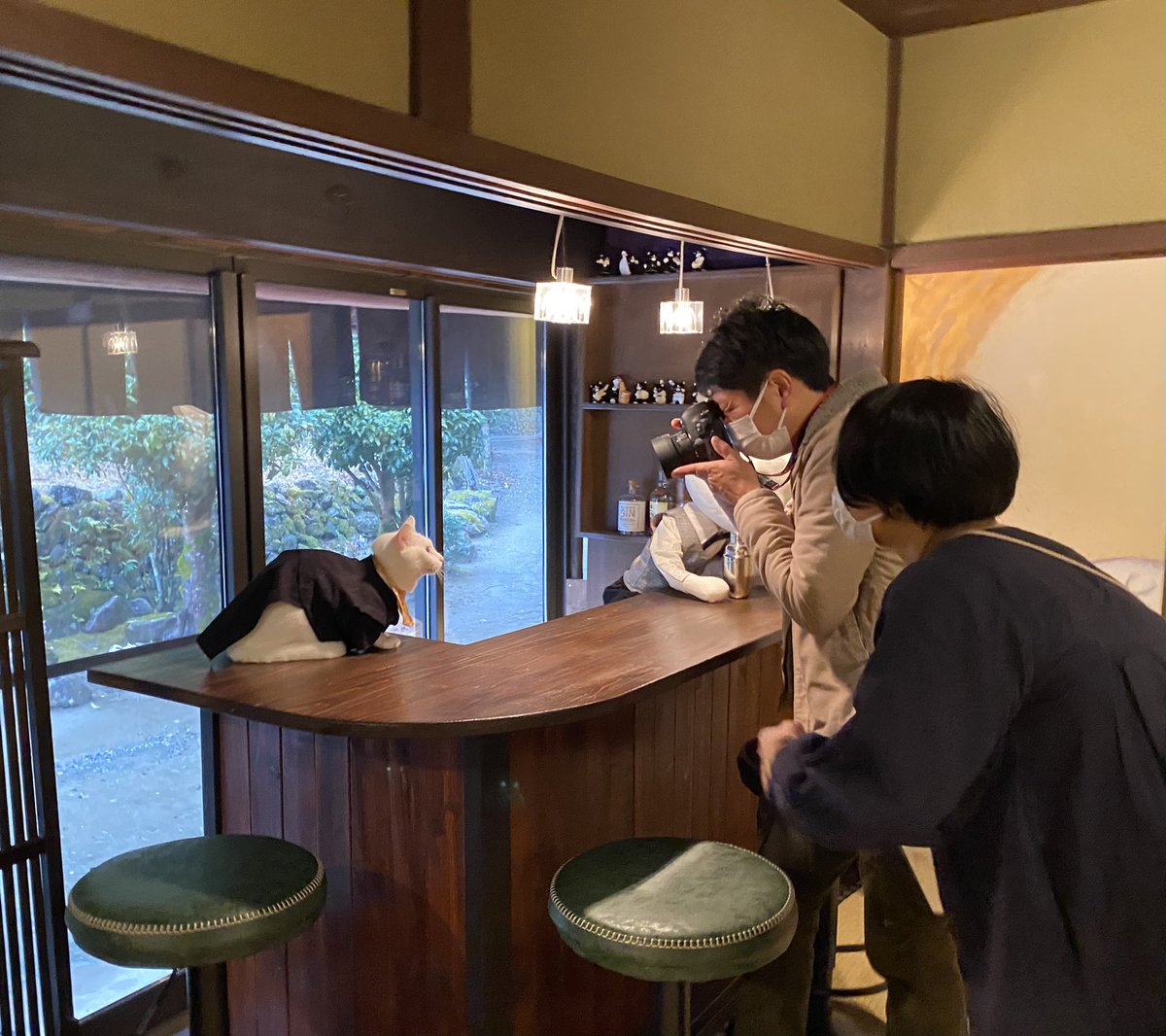 osamutabuchi's tweet photo. 〜珍の珍道中〜
19日、#猫猫寺 にて珍住職のお勤め日
サプライズで美ちゃん。
、
いろんな方に触れていただき、
感にゃ、感にゃ🐱
2023-2.19
.
#猫猫寺 
#猫猫寺開運ミュージアム 
#珍の珍道中 
#珍住職 
#猫のいる風景 
#京都観光 https://t.co/1CGNBcYaqg