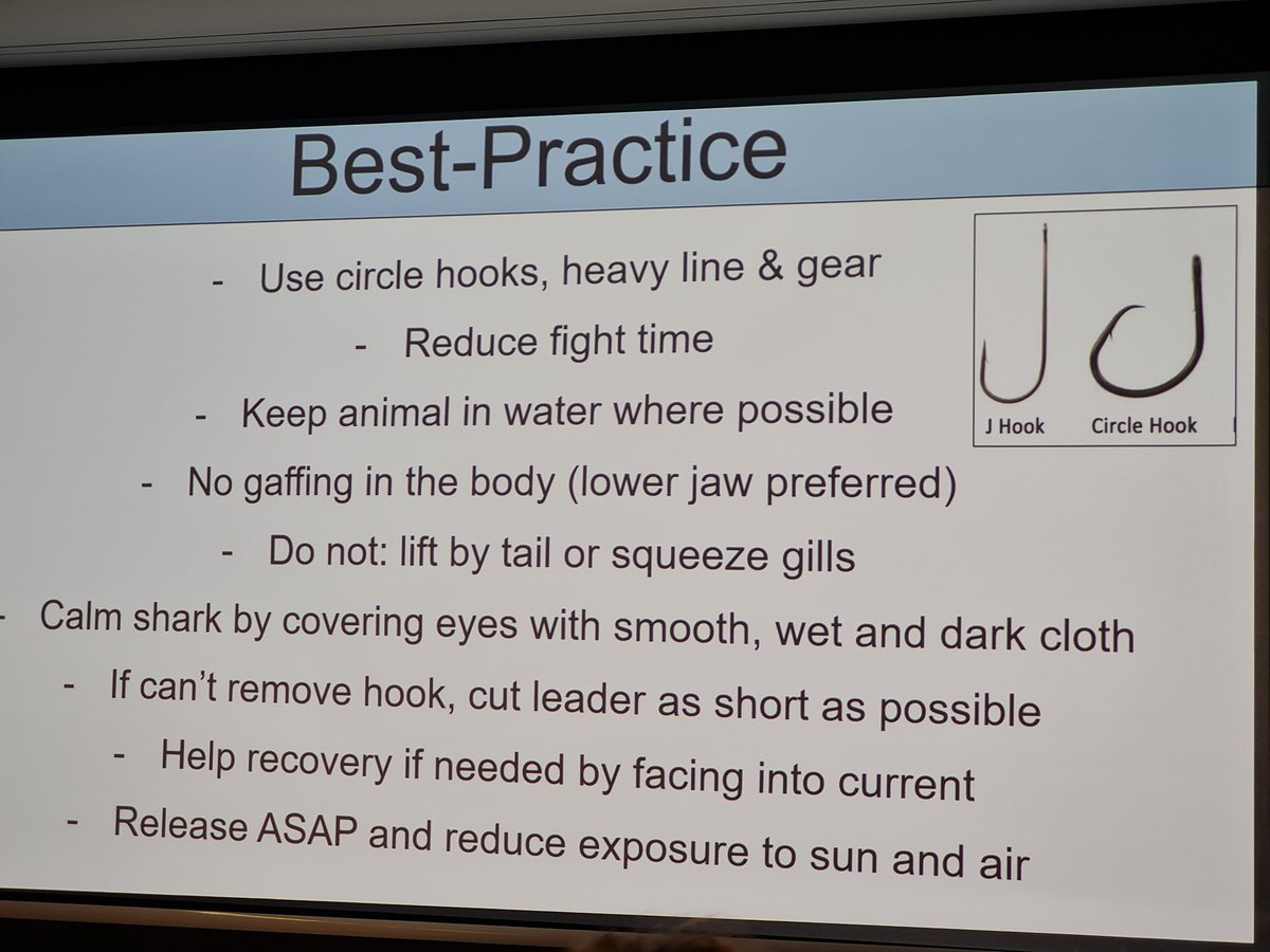 Bryce Stewart tweet media