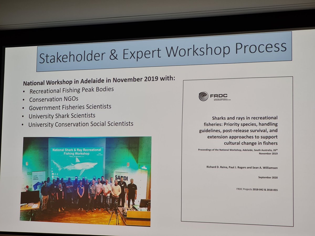 Bryce Stewart tweet media