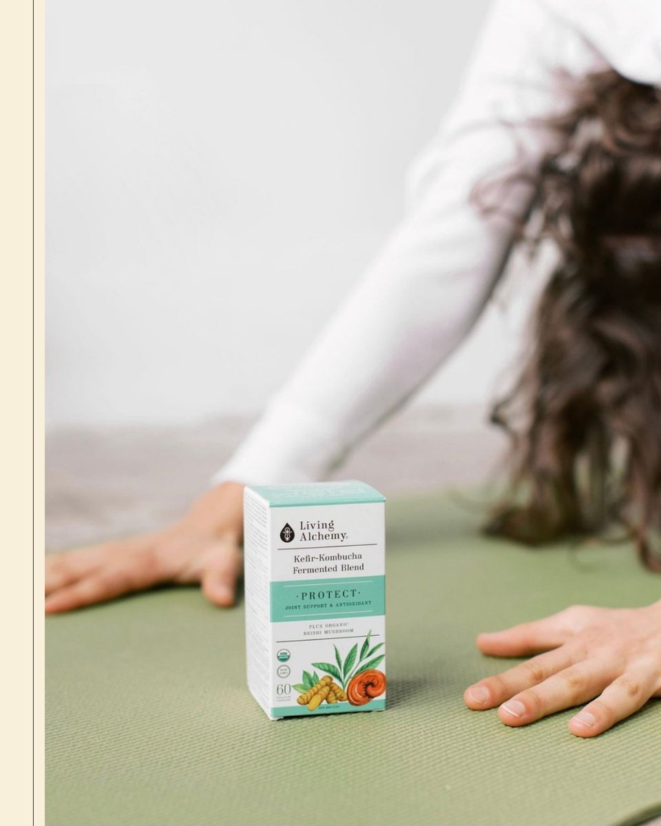 The secret to healthy joints is a healthy inflammation response. And the secret to a healthy inflammation response lies in 𝐏𝐑𝐎𝐓𝐄𝐂𝐓!

livingalchemy.ca/products/prote…