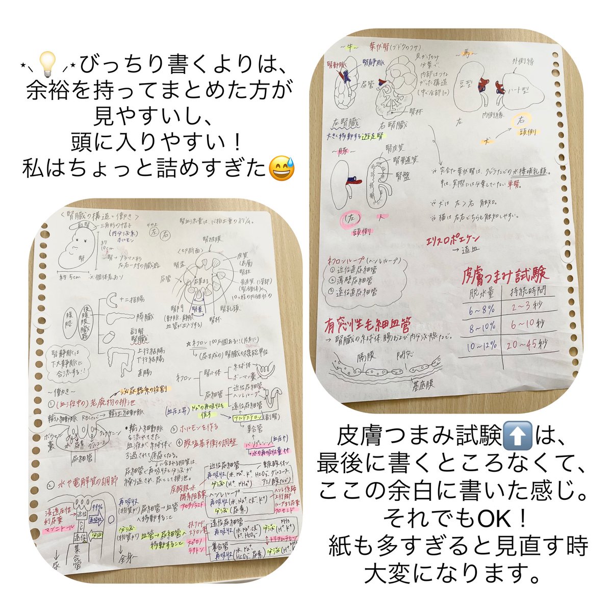 動物看護学 まとめ売り 【公式通販】