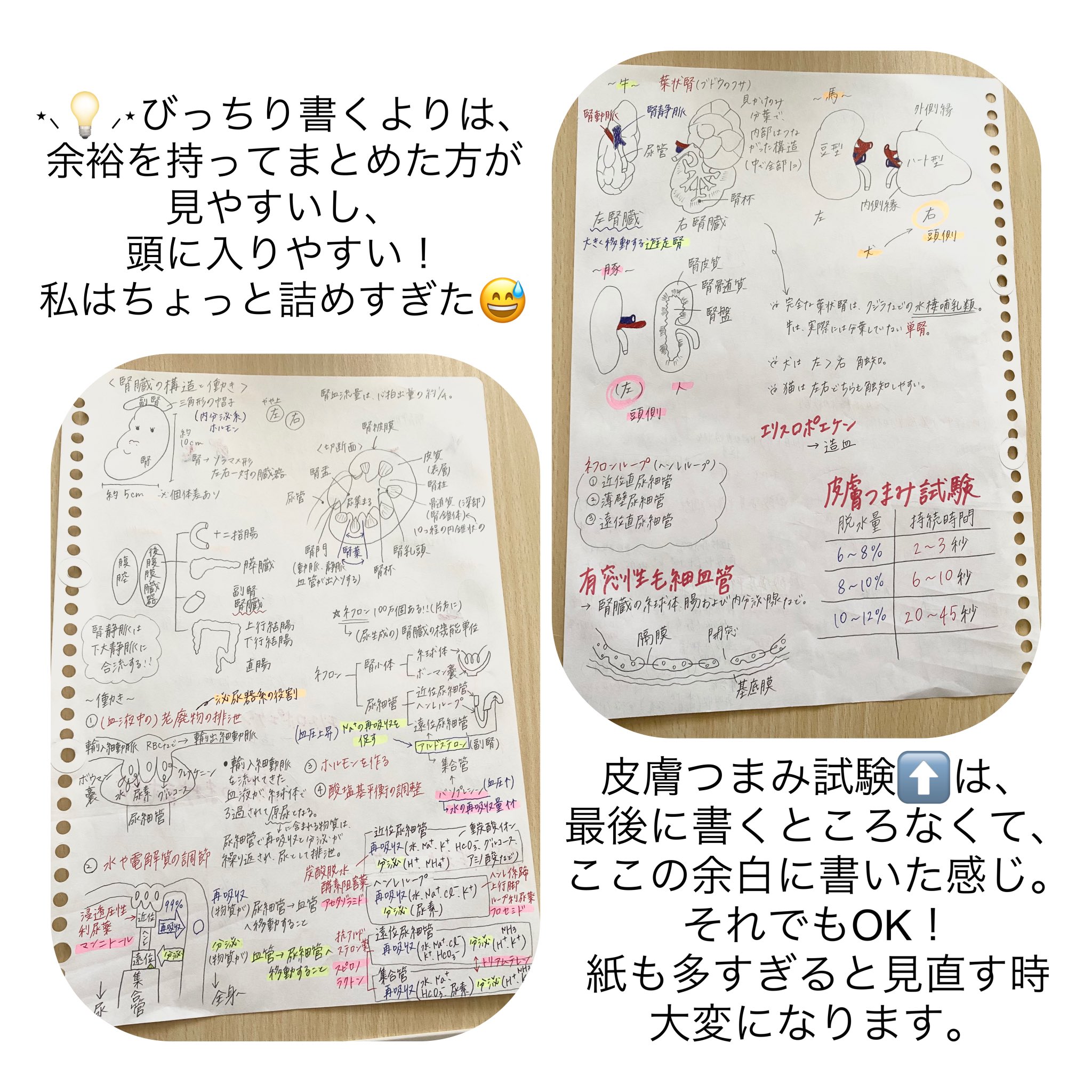 動物看護学 まとめノート