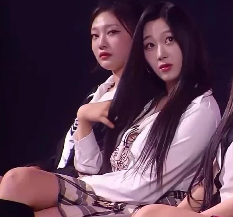 나비 tweet media
