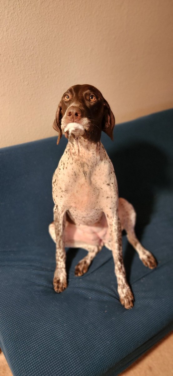 Rashell253's tweet image. My Hurricane Jane 🌀