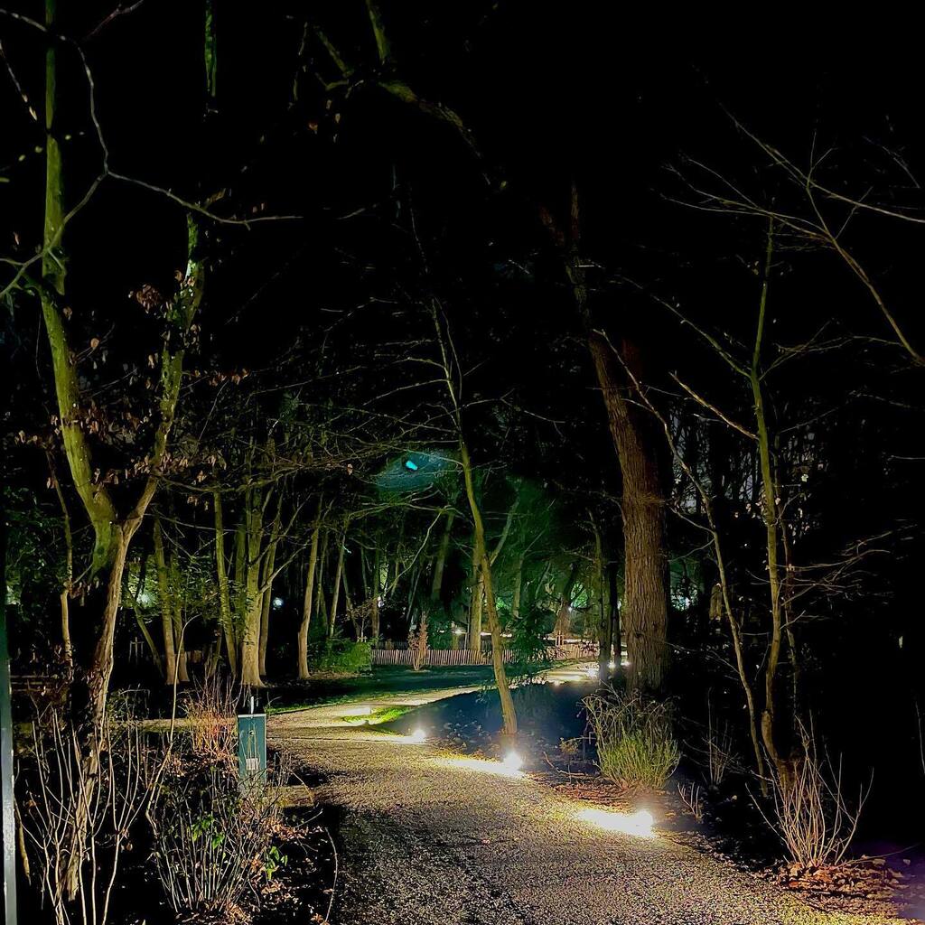 …plus que 96 trimestres…
#bonjour #park #nature #city #tree #bynight #onmywaytowork instagr.am/p/Co31_inoGK-/