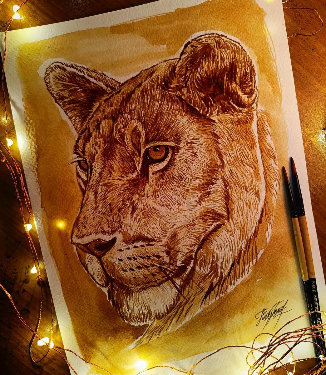 Coffee painting of 🦁
#leo #lion #wildlife #coffeepainting #coffee