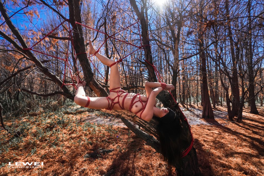 大理红杉~

#LEWEI #Shibari  #BabyArt #ChinaBondage #ChinaArt #Bondage #废墟捆绑
各类主题创作拍摄欢迎私我约拍～
投稿：
@Fengsiyuan
@tbzt3623
@wqganenshi_ https://t.co/605LGC6ztZ