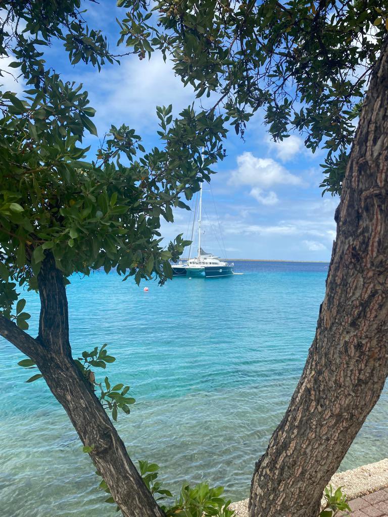 onboardradio's tweet photo. Lust auf AIDA in der Karibik? Wir haben die Bestpreis-Garantie für Euch! Genießt Euren Urlaub wie unsere Gäste auf AIDAperla 🥰 #reisebüro #kreuzfahrt #aida #karibik https://t.co/W83AGogSn5