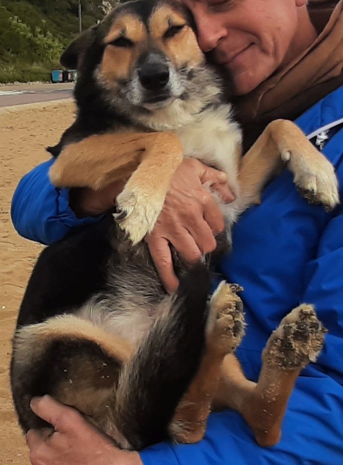 SleepBetterASAP's tweet image. Tag here as many dog-lovers as you can and let's see how many great pics we can get.  Here's me with mine.

For every 20 pics posted, we'll donate £5 (up to £100) to that great charity, the Dogs Trust. 🐕‍🦺👍🐕‍🦺 Share this post everywhere, let's see how much money can be raised.