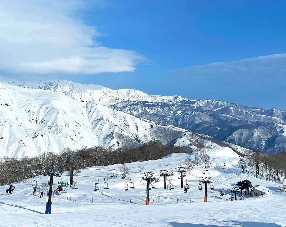ByHakuba's tweet photo. Having some fun before work😏⛷🏂

===

白馬勤めなら、仕事前にひと滑りも😝

ホテル公式サイトより、
HAKUBA VALLEYスキー場情報をお届け中📣
この冬のお出かけに、是非お役立て下さい！
https://t.co/VM0Tiu8MXd https://t.co/LbnAgJaXQK
