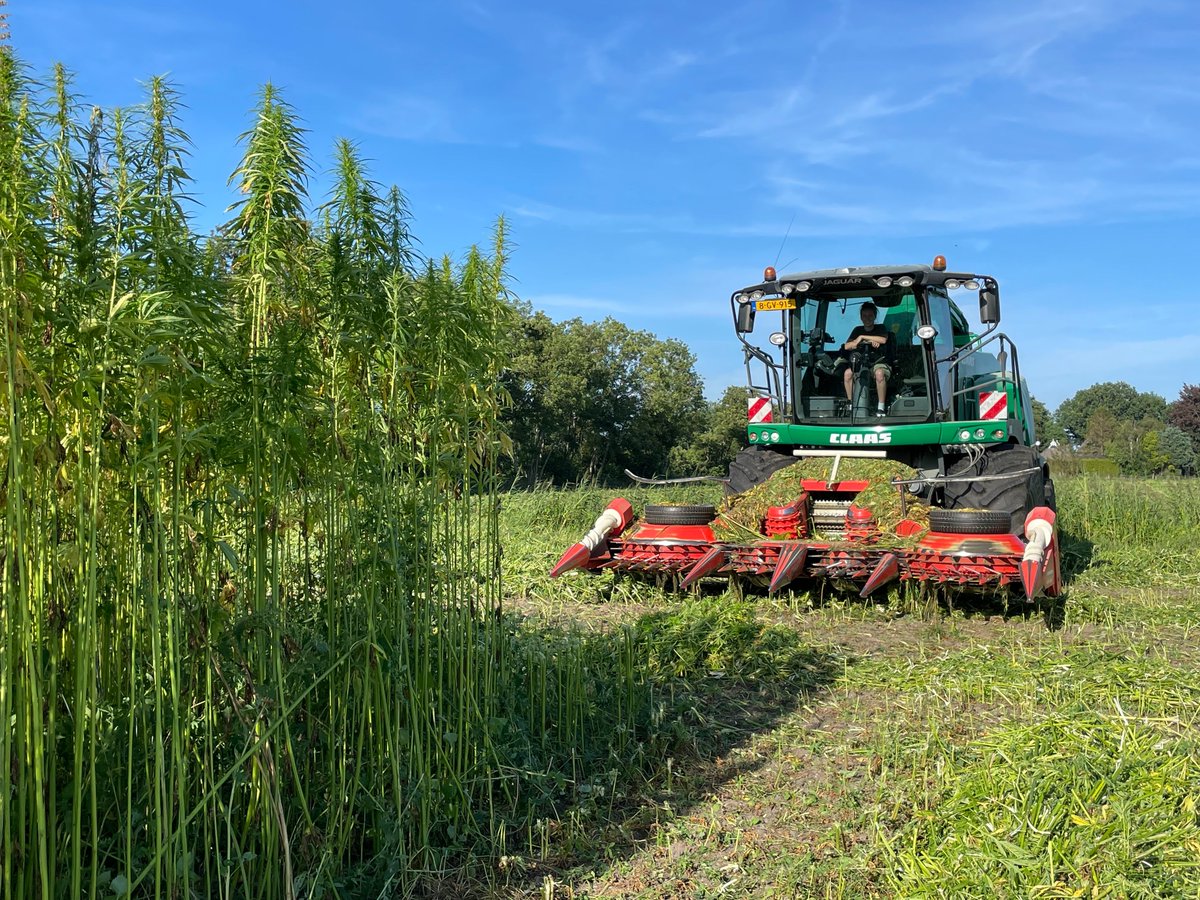 freonen's tweet image. Primeur #GreenInclusive: CO2-toeslag voor hennepteelt

fossylfrij.frl/primeur-greeni…

Foto's: GreenInclusive

@marthijsr