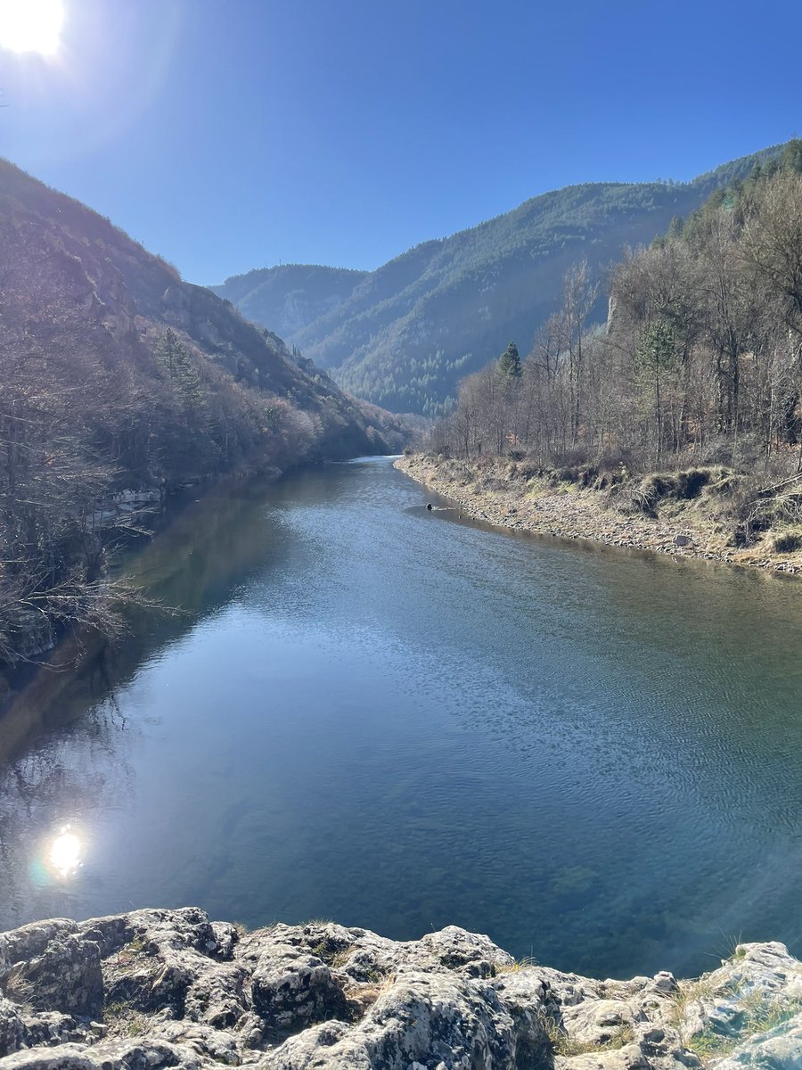 Patrick Calmels tweet media