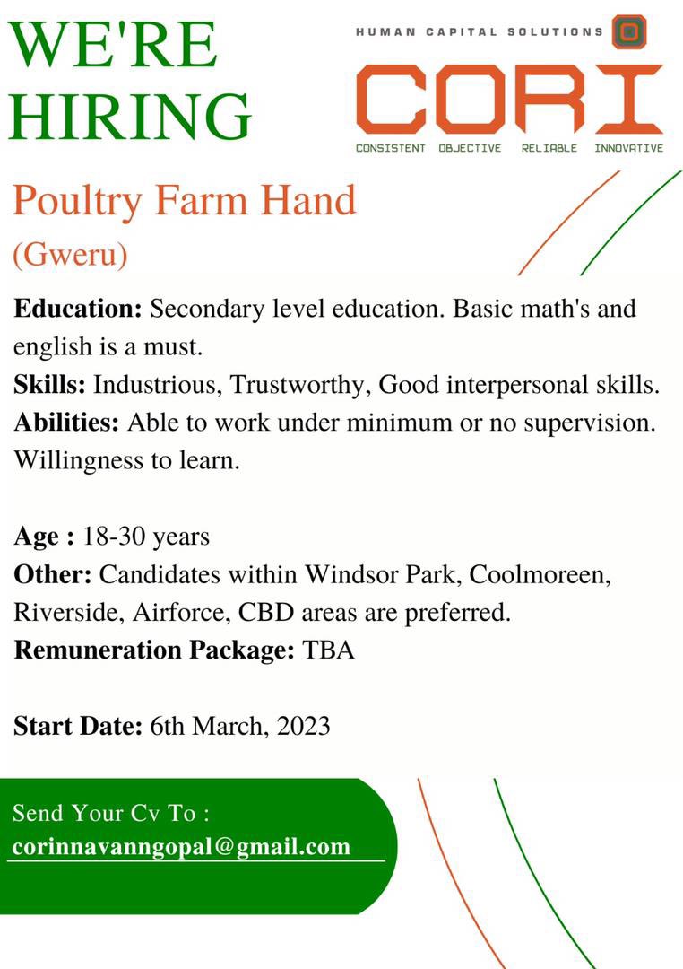 Recruiting for a Poultry Farm Hand - Gweru. Applications close on the 25th February, 2023. <a href="/jobs263/">Aurelia Vance</a> 
#Gweru