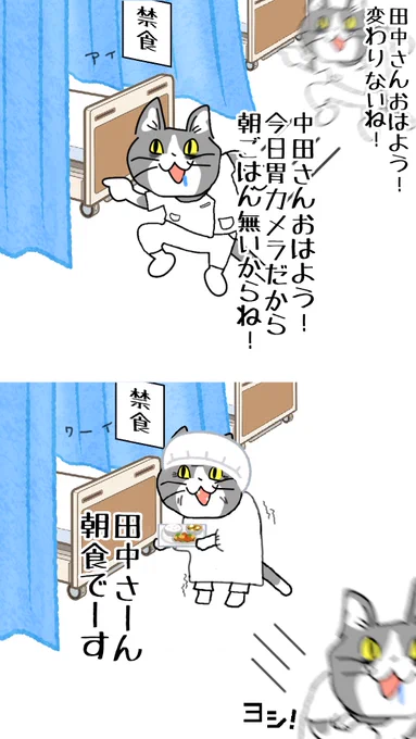 #現場猫 #看護師
誰がインシデントレポート書くかって?もちろん看護師です🤔 