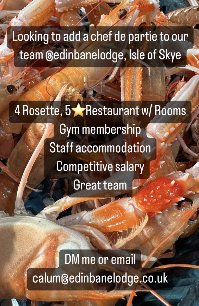 Calum Montgomery (@skyechefmonty) on Twitter photo 