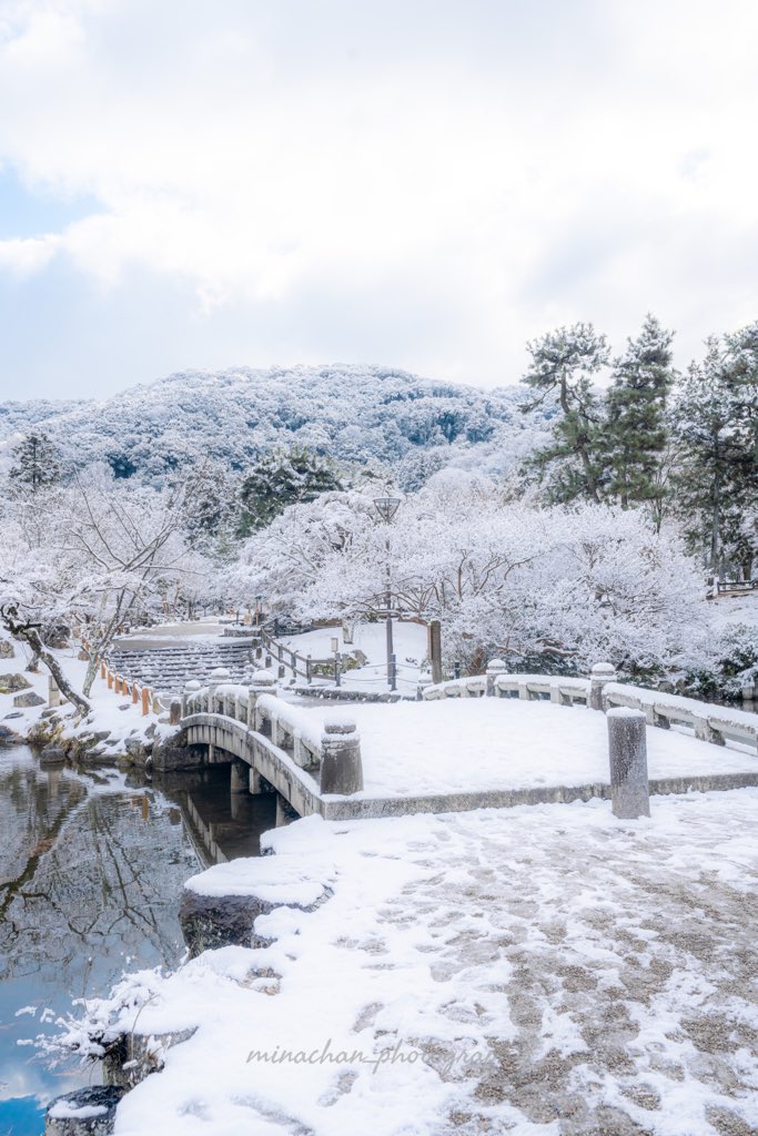 京都に降り注いだ雪が素敵でした❄️