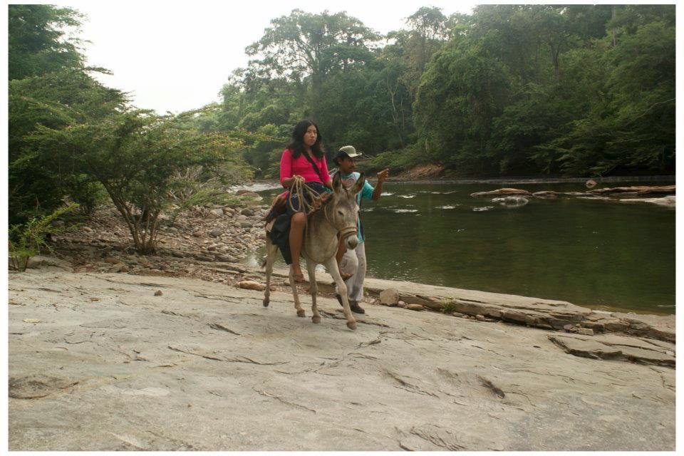 VzlaOriginaria's tweet photo. La Sierra de Períja contemporánea no se entiende hoy, sin la presencia de la ONG  Sociedad Homo et Natura que desde la década de los 80' en defensa de los #DDHH y de la naturaleza, en contra de la minería, por el agua, la vida y los ecosistemas al occidente de #Venezuela📢🇻🇪 https://t.co/aIVD5F9aBj