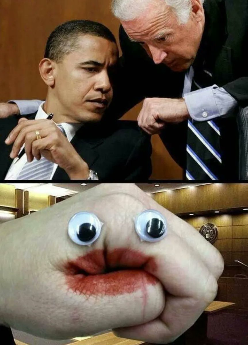 NO CONTEXT HUMANS (@humansnocontext) on Twitter photo 