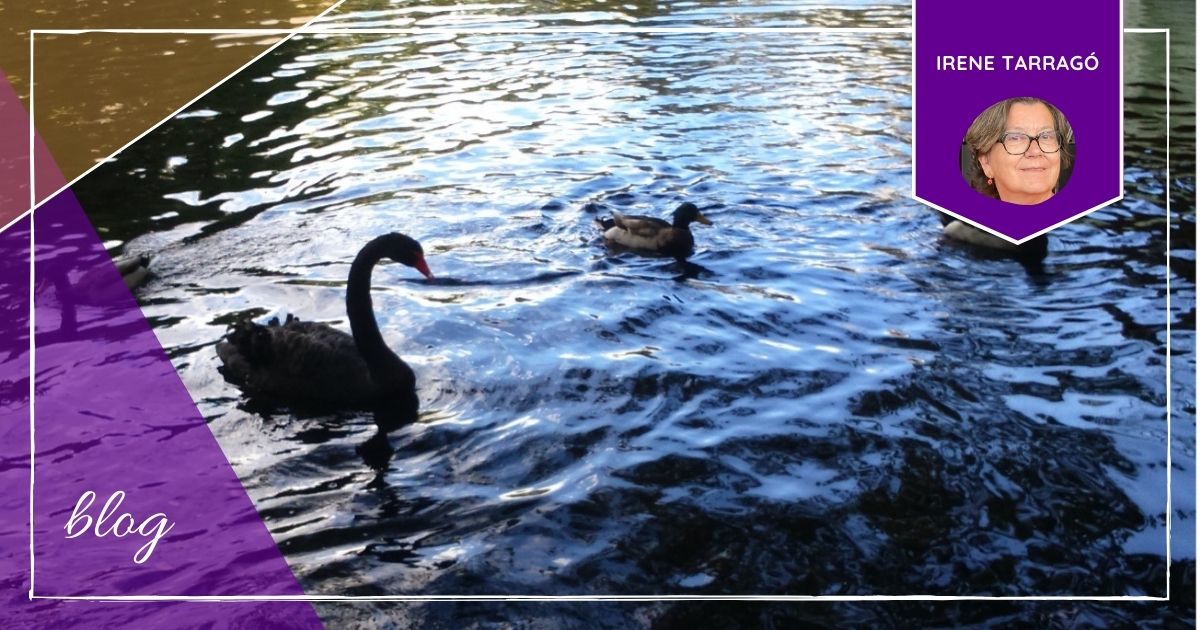 International Epilepsy Day "...as you know, it is celebrated on the second Monday of February. But, people with epilepsy and their families live with the disease 365 days a year..." We leave you the new blog entry of Irene Tarragó, we hope you like it!
👉ow.ly/Jtva50MW9Q7