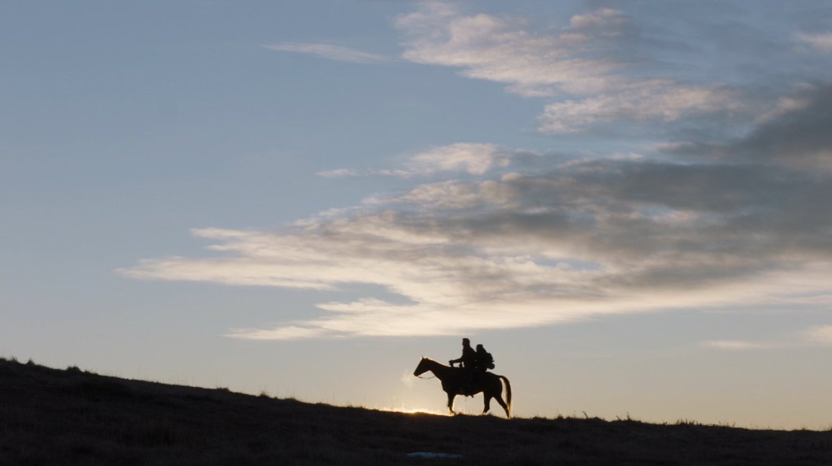 Every Last One Of Them tweet media