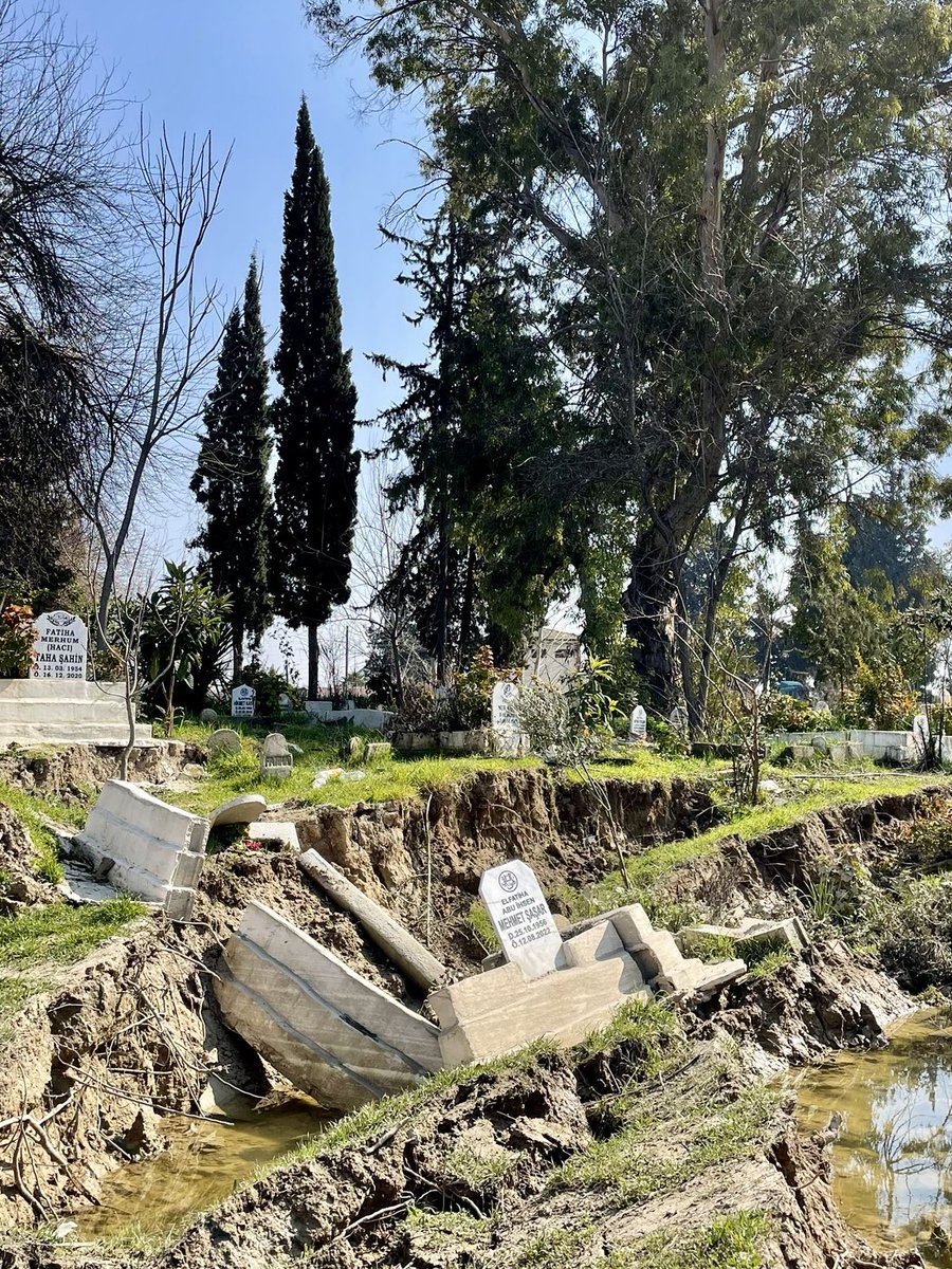 Noé Pignède tweet media