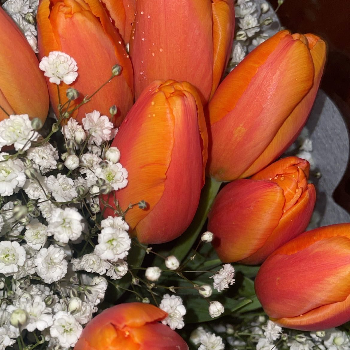 튤립이 제일 이쁨yo