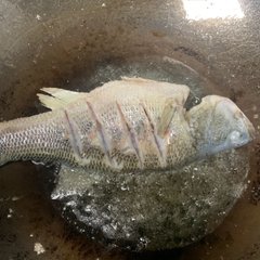 he9032's tweet photo. Stew a fish soup, add a little collagen to yourself🥰🥰 https://t.co/67u5Hc5dQq