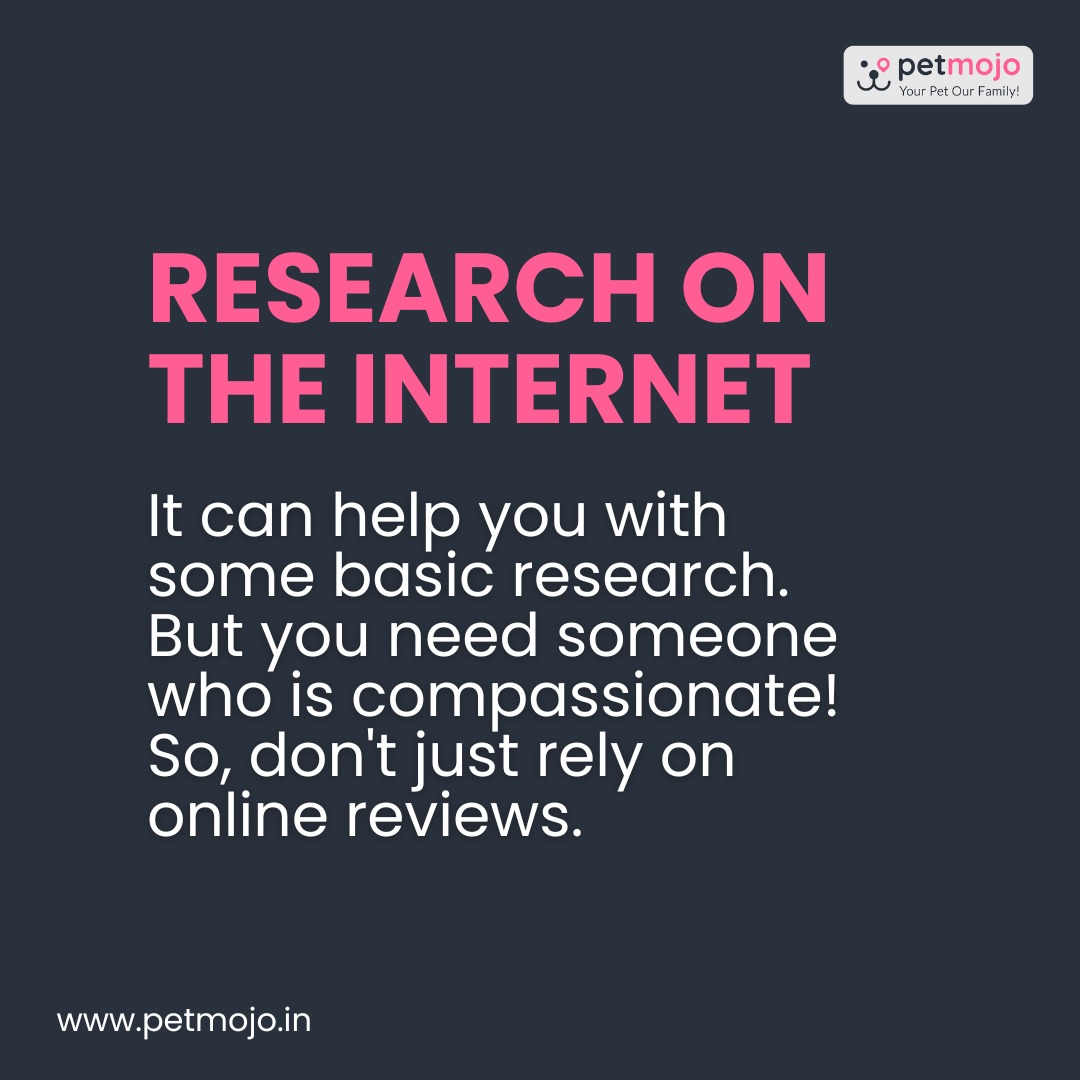 Petmojo_App's tweet photo. How to find a Dog Trainer? 🤔 🐕 
Finding a dog trainer that is good, professional and also able to make a connection is not easy. Continue reading to know 
Tap on the Link👇
https://t.co/ogn5J0LnAt

Follow @Petmojo_App for more

#petmojo #blogs #pets #dogs #training #services https://t.co/MYRmZXqMW9