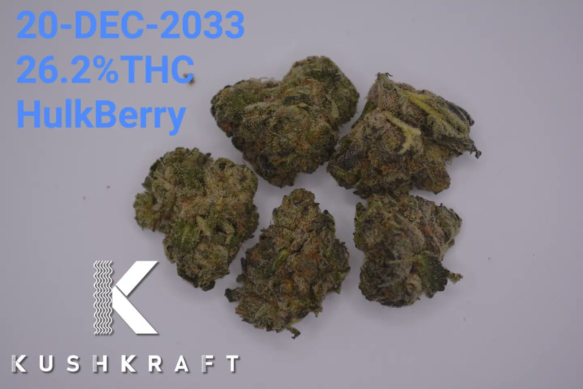 As soon as I checked the bags, I knew I had to grab this. The nugs felt so fresh and sticky, and it did not disappoint, with beautiful purple nugs and a sweet smooth sativa

#kushkraft #waynepatrick #ontariocannabis #stonner #ᴛʜᴄ #420 #canabis #weedlife
