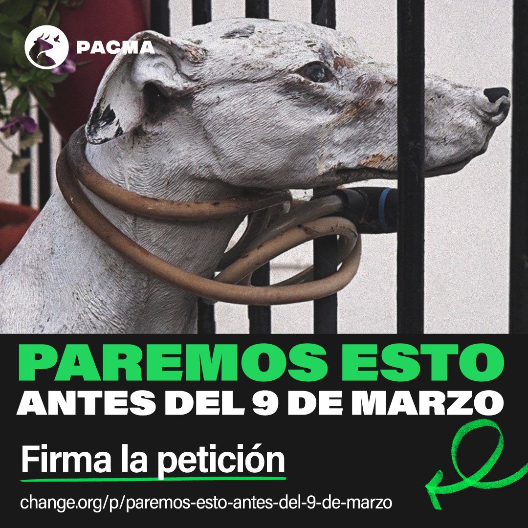 🆘 ¡Urgente! Asociaciones jurídicas especializadas en derecho animal lanzan esta petición para pedir el veto en el Senado a la reforma del Código Penal en materia de maltrato animal. 

¡Solo tenemos hasta el 9 de marzo! Firma y comparte: change.org/p/paremos-esto…