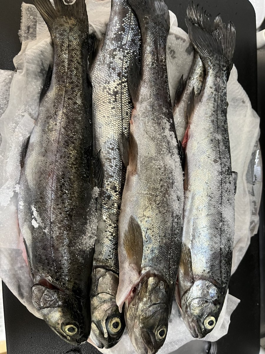 BbKon720's tweet photo. 昨日久々に釣り行ったわ
虹鱒楽しいし、美味い https://t.co/EDOj26wo6n